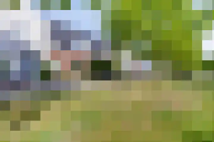 Hilleweg 52 Goes thumbnail 6