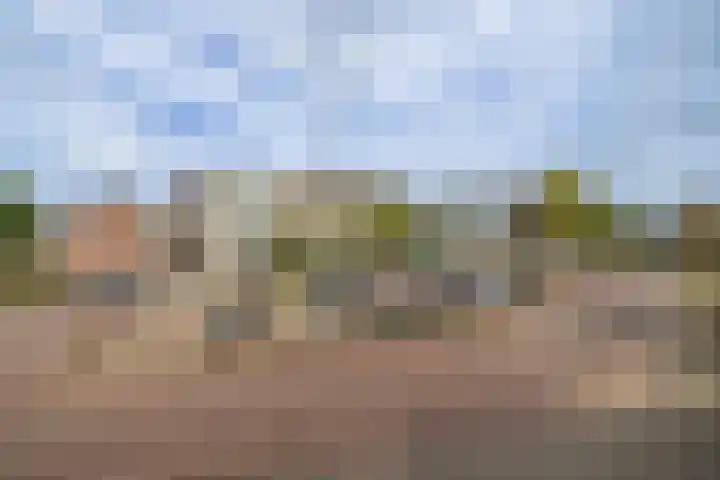 Hillinenweg 31 Hillegom thumbnail 25