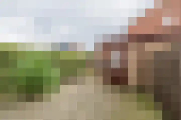 Hillinenweg 51 Hillegom thumbnail 15
