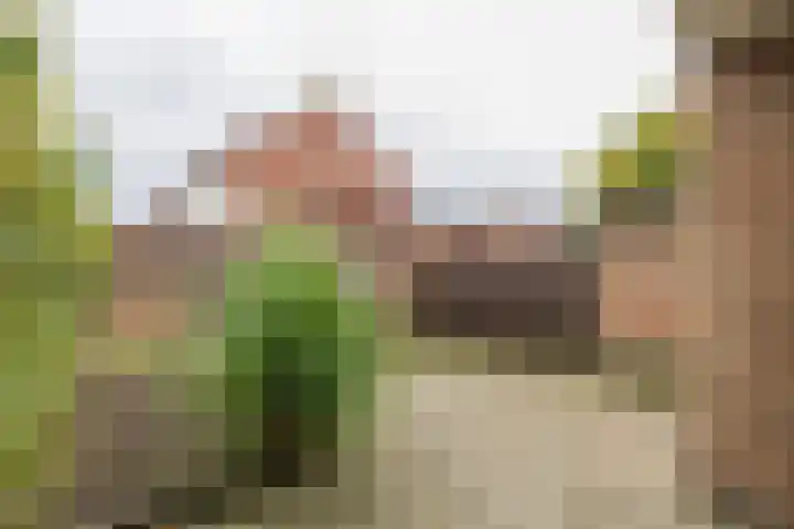 Hillinenweg 51 Hillegom thumbnail 16