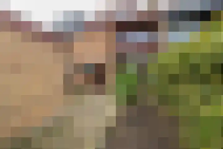 Hillinenweg 51 Hillegom thumbnail 17