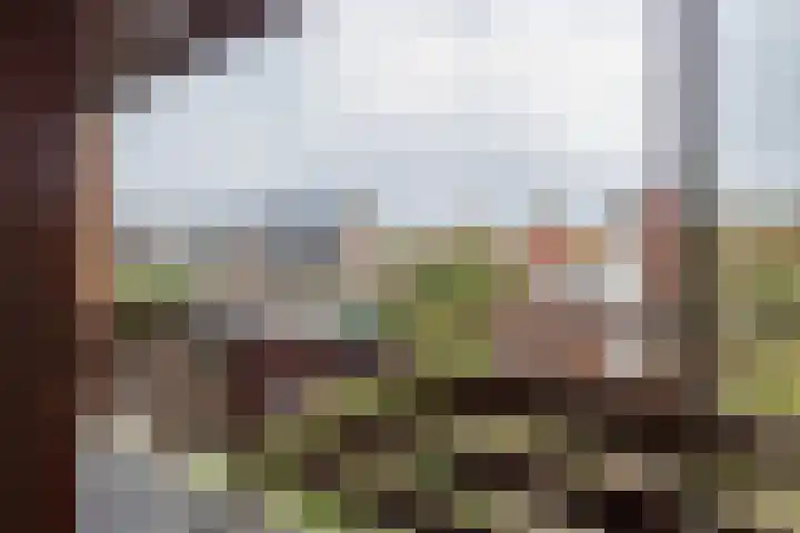 Hillinenweg 51 Hillegom thumbnail 37