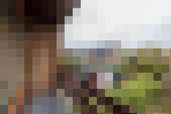 Hillinenweg 51 Hillegom thumbnail 38