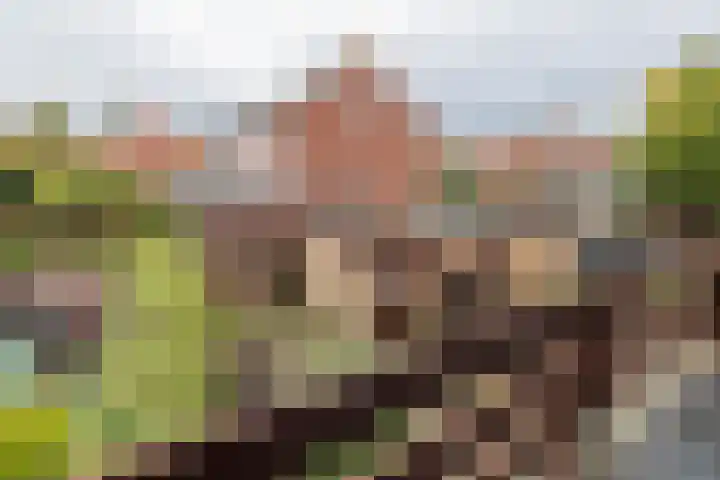 Hillinenweg 51 Hillegom thumbnail 40