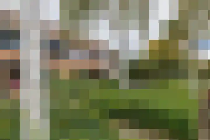 Hillinenweg 51 Hillegom thumbnail 53