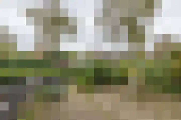 Hillinenweg 51 Hillegom thumbnail 57