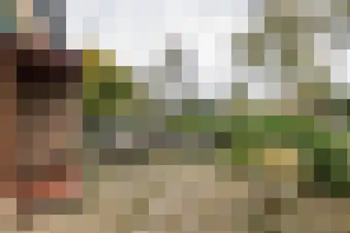 Hillinenweg 51 Hillegom thumbnail 58