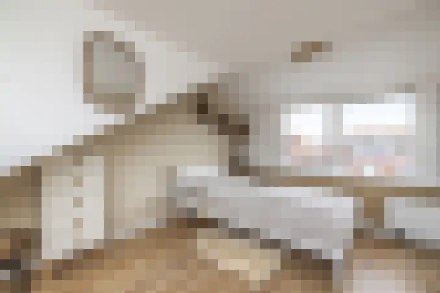 Hillinenweg 61 Hillegom thumbnail 33