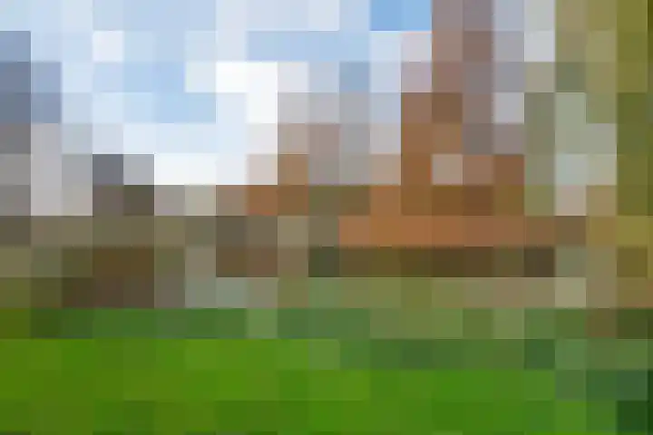 Hillinenweg 74 Hillegom thumbnail 35