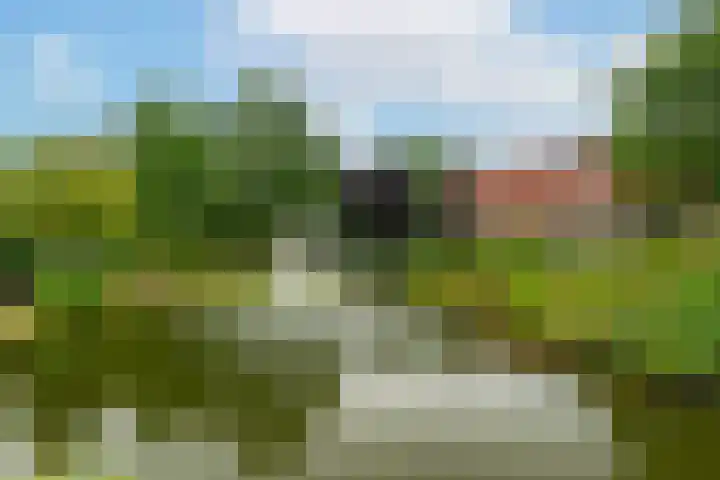 Hillsestraat 10 Babyloniënbroek thumbnail 38