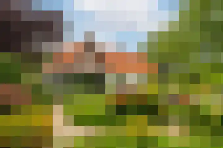 Hillsestraat 10 Babyloniënbroek thumbnail 39