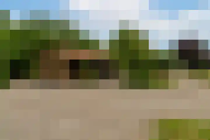 Hillsestraat 10 Babyloniënbroek thumbnail 41