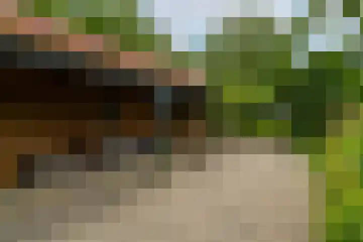 Hillsestraat 10 Babyloniënbroek thumbnail 42