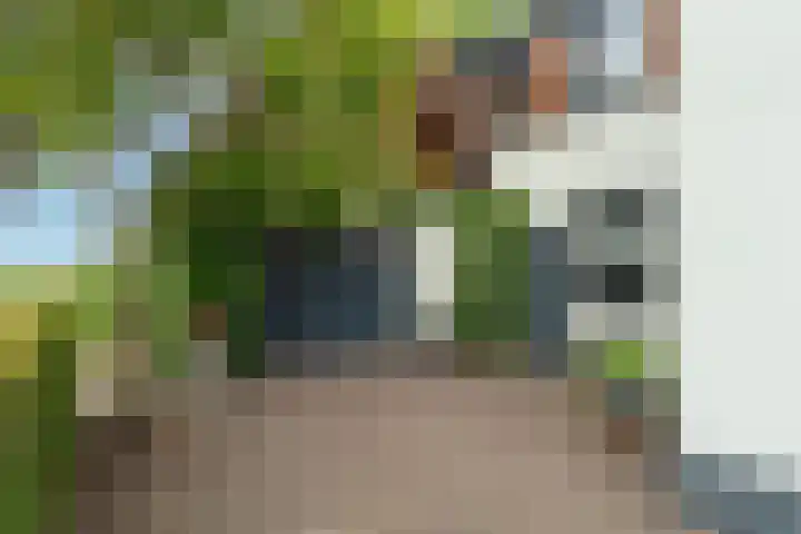 Hillsestraat 10 Babyloniënbroek thumbnail 5