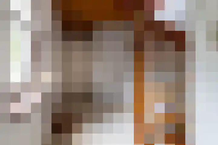 Hillsestraat 10 Babyloniënbroek thumbnail 7