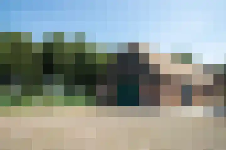 Hillsestraat 2 Babyloniënbroek thumbnail 49