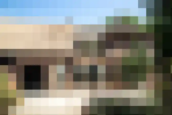 Hillsestraat 2 Babyloniënbroek thumbnail 5