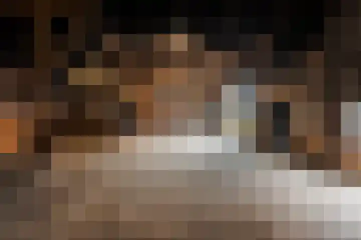 Hillsestraat 2 Babyloniënbroek thumbnail 55