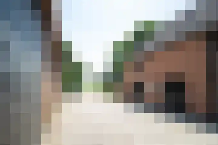 Hillsestraat 2 Babyloniënbroek thumbnail 66