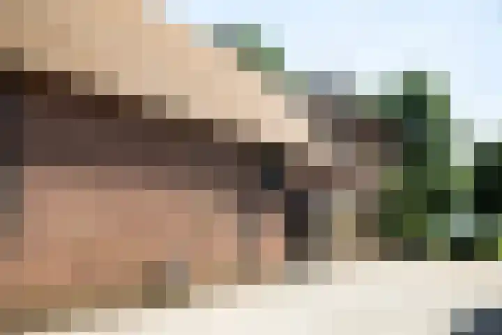 Hillsestraat 2 Babyloniënbroek thumbnail 67