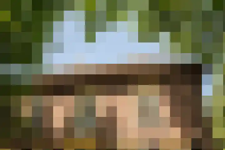 Hillsestraat 2 Babyloniënbroek thumbnail 69