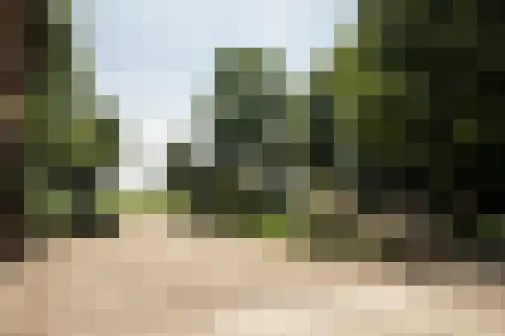 Hillsestraat 2 Babyloniënbroek thumbnail 71