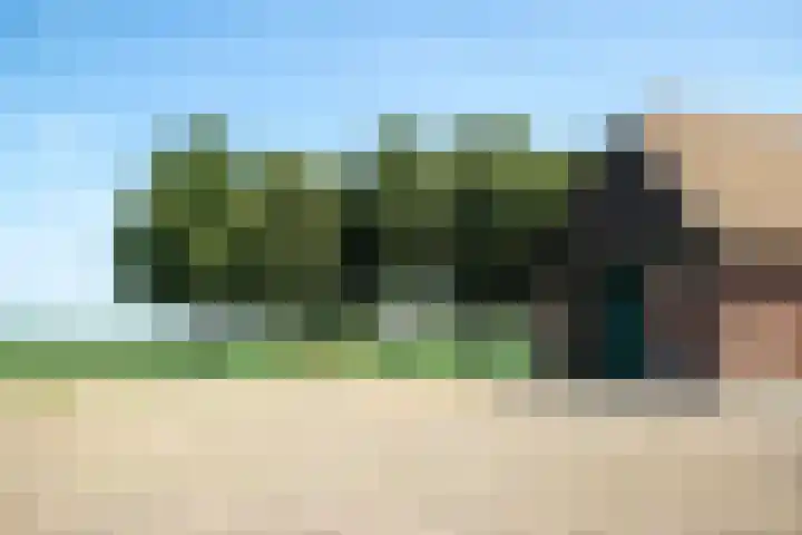Hillsestraat 2 Babyloniënbroek thumbnail 72