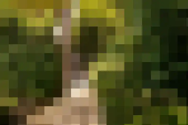Hillsestraat 33 Babyloniënbroek thumbnail 32