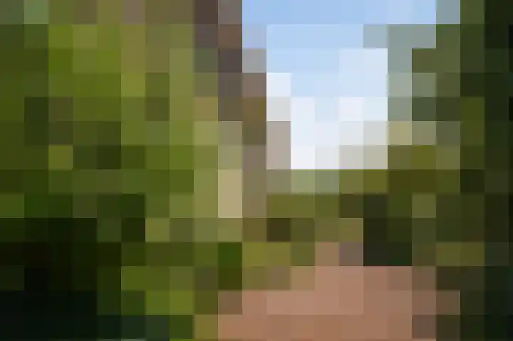 Hillsestraat 33 Babyloniënbroek thumbnail 36