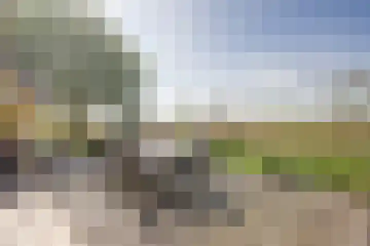 Hillsestraat 35 Babyloniënbroek thumbnail 36