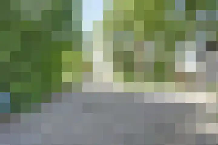 Hillsestraat 35 Babyloniënbroek thumbnail 43