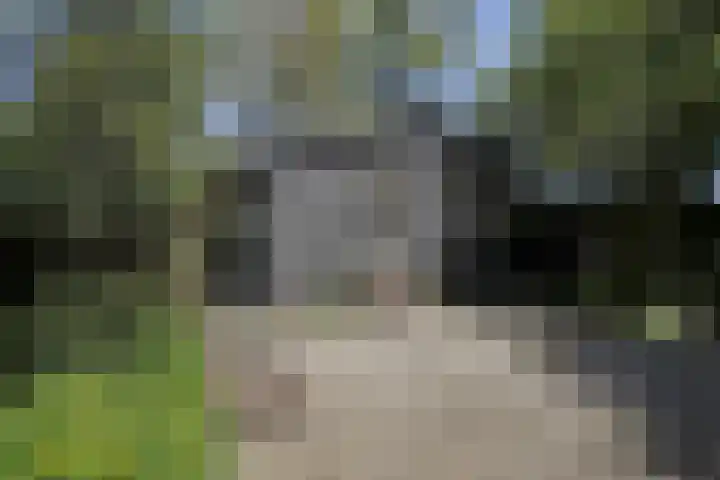 Hillsestraat 35 Babyloniënbroek thumbnail 45