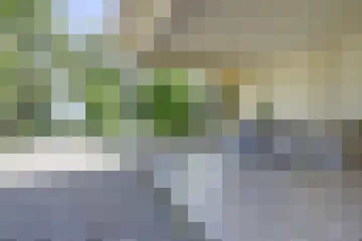 Hillsestraat 35 Babyloniënbroek thumbnail 6