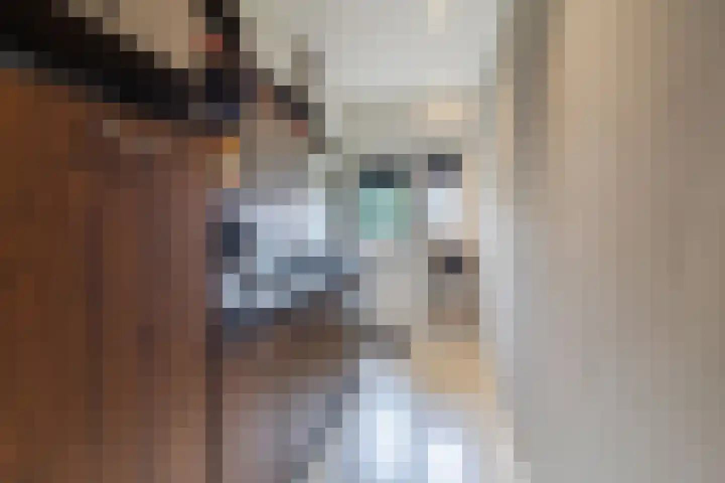 Hilmar J. de Haanstraat 11 a Alblasserdam thumbnail 14