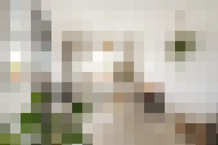 Hilmar J. de Haanstraat 21 c Alblasserdam thumbnail 15