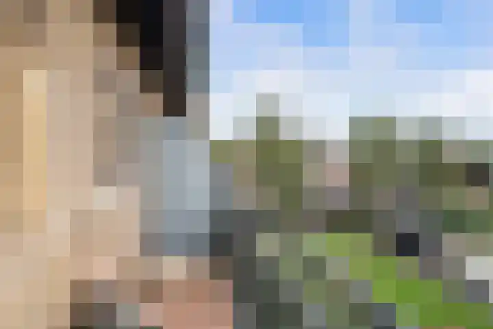 Hilmar J. de Haanstraat 21 c Alblasserdam thumbnail 23