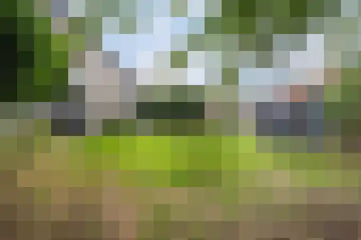 Hilmar J. de Haanstraat 21 c Alblasserdam thumbnail 27
