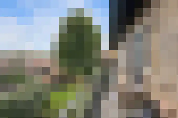 Hilmar J. de Haanstraat 21 c Alblasserdam thumbnail 5
