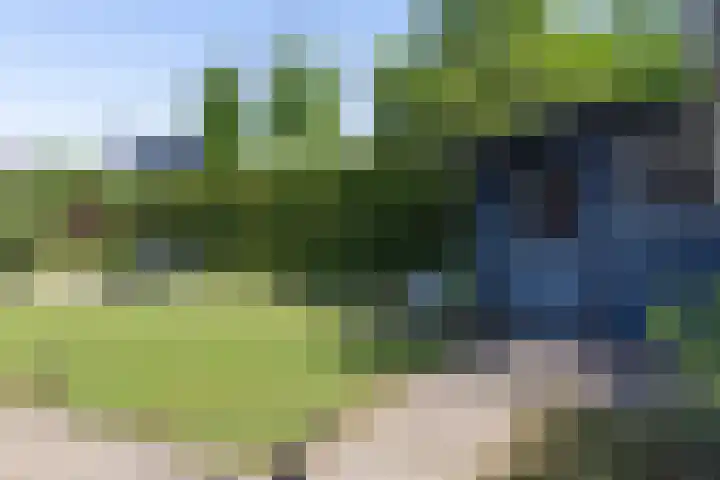Hilsdijk 80 Hattem thumbnail 41