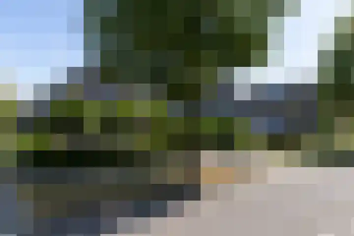 Hilsdijk 80 Hattem thumbnail 6