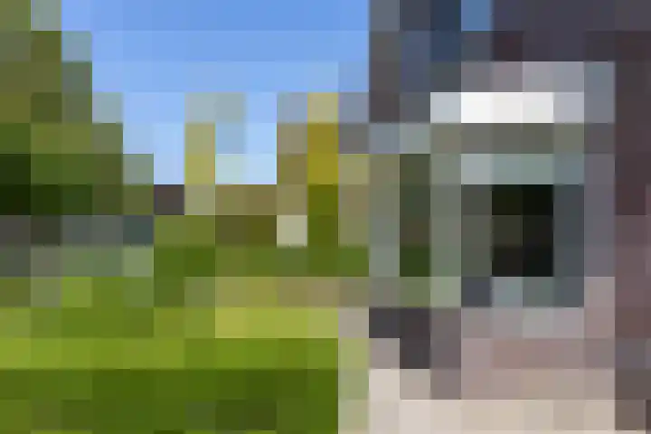 Hilsdijk 80 Hattem thumbnail 7