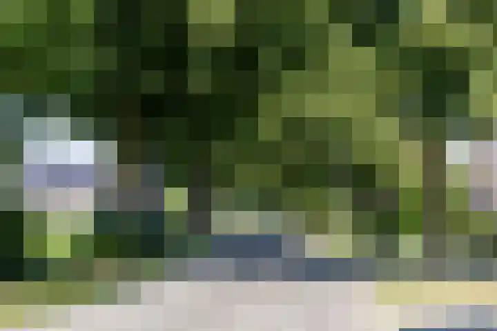Hilsdijk 80 Hattem thumbnail 8