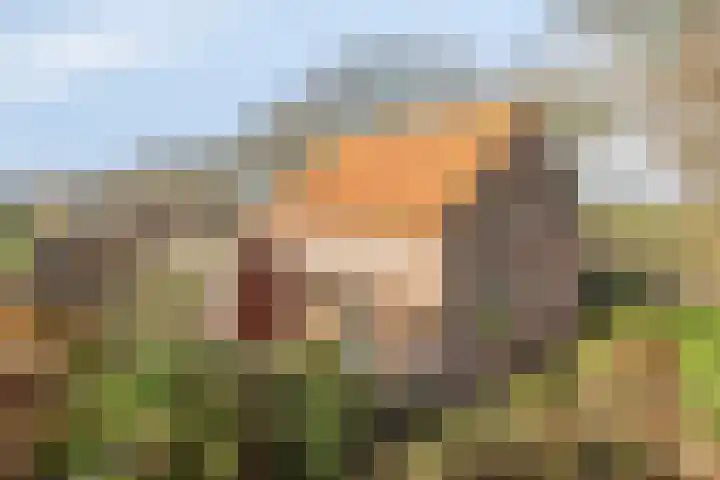 Hilsebaan 274 Etten-Leur thumbnail 31