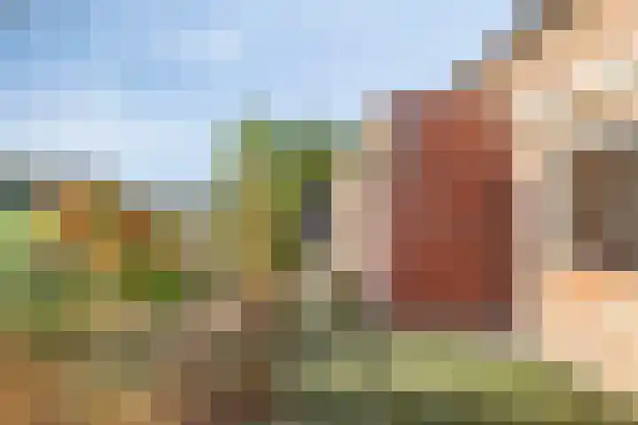 Hilsebaan 274 Etten-Leur thumbnail 32
