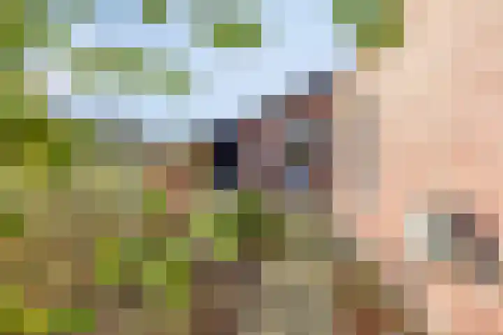 Hilsebaan 274 Etten-Leur thumbnail 34