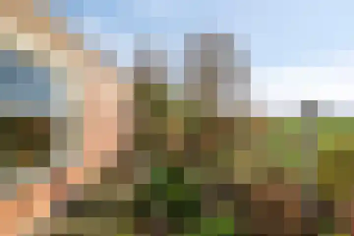 Hilsebaan 274 Etten-Leur thumbnail 36