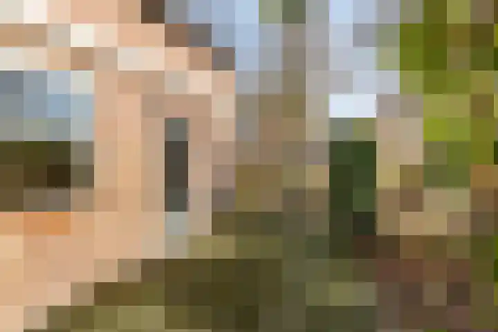Hilsebaan 274 Etten-Leur thumbnail 37