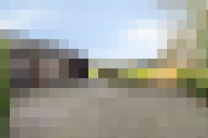 Hilsebaan 274 Etten-Leur thumbnail 39