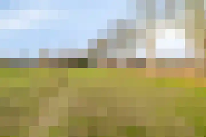 Hilsebaan 274 Etten-Leur thumbnail 41