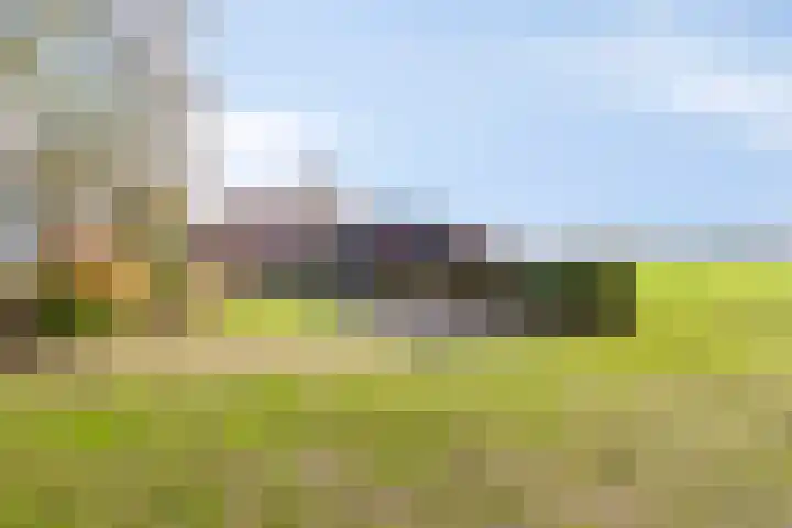 Hilsebaan 274 Etten-Leur thumbnail 42